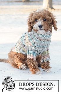 a small brown dog wearing a sweater in the snow