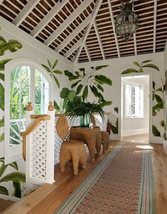 a room with some plants in it and two elephants on the floor next to each other