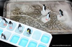 small penguins are sitting on ice in an ice tray