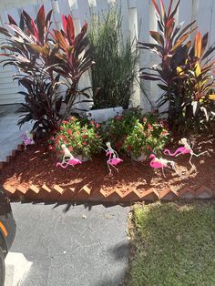 some pink flamingos are sitting in the flower bed