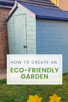 two yellow daffodils in front of a blue shed with text overlay how to create an eco - friendly garden