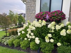 a window box filled with flowers next to a house