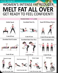 Beginner Workout Schedule, Full Body Dumbbell Workout, Gym Workout Plan For Women, Dumbell Workout, Workout Plan For Women, Workout Without Gym, Gym Routine, Body Workout Plan, Workout Plan Gym