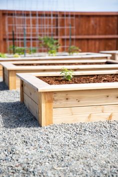 several wooden planters with plants growing in them on graveled area next to fence