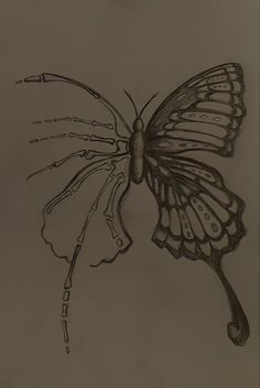 a drawing of a butterfly on a piece of paper