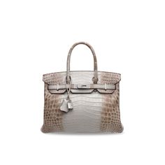 Shadow Birkin, Most Expensive Bag, Rare Handbags, Nile Crocodile, Expensive Bag, Birkin 30