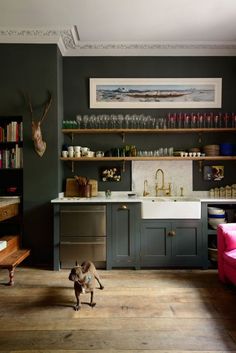 a dog standing in the middle of a kitchen