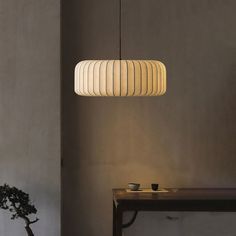 a lamp hanging over a table next to a potted plant on a wooden table