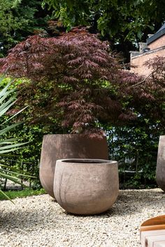 two large planters sitting next to each other on top of gravel covered ground with trees in the background