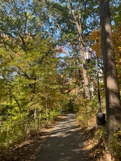 an empty road surrounded by trees in the fall