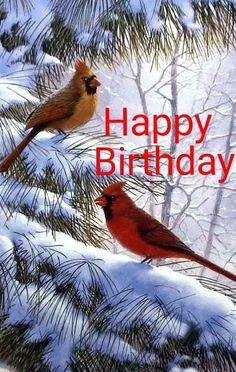 two birds sitting on top of a pine tree in the snow with happy birthday written below