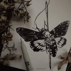 a drawing of a butterfly on top of a piece of paper next to some dried flowers