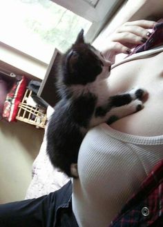 a black and white cat laying on the belly of a pregnant woman