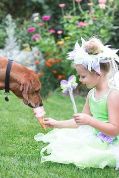 Okay fess up...who would let their dog do this? Tinkerbell Costume, Tinkerbell Fairy, Tinkerbell Fairies, Up Costume, Love T, Up Costumes, Dress Up Costumes