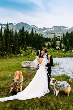 a bride and groom standing next to two dogs