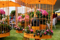 two yellow bird cages with pink flowers and a bottle of champagne in them on the grass