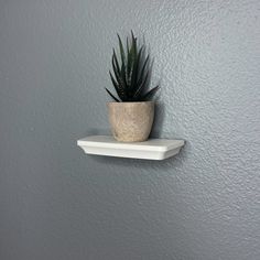 a potted plant is sitting on a shelf in the corner of a room with gray walls