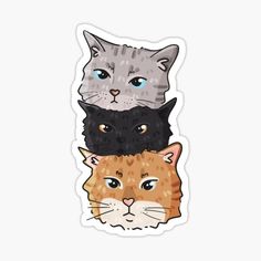 three cats with blue eyes and one cat's head in the middle sticker