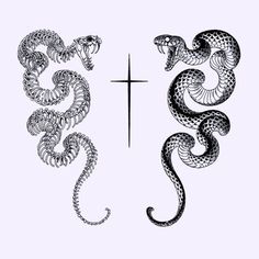 two black and white snakes are next to a cross on a white background with the words,