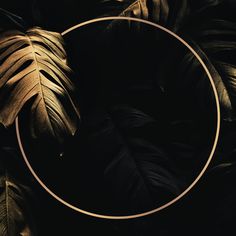 a golden circle frame surrounded by black and gold leaves on a dark background with a circular design in the middle