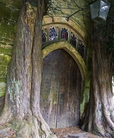 an old wooden door in the side of a tree with a lantern hanging from it