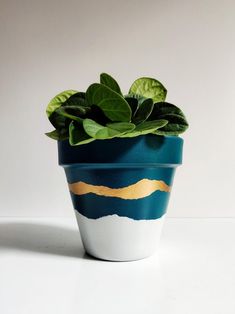 a potted plant sitting on top of a white table