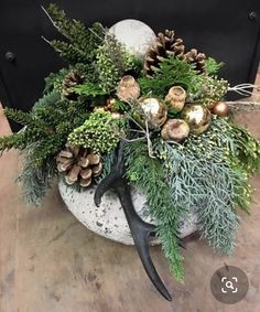 a potted plant with pine cones and greenery