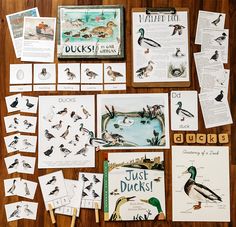 some cards and pictures are laying out on a table with ducklings in the background