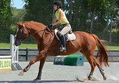 a woman riding on the back of a brown horse in an equestrian arena with trees in the background