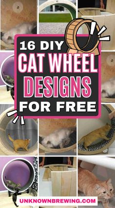 16 Creative DIY Cat Wheel Designs for Indoor Fun Indoor Cat Room Ideas Diy, Diy Cat Wheel, Catio Patio, Cat Walls, Cat Room Diy, Kitty Treats, Cat Diy Crafts, Cat Wheel, Cat Exercise Wheel