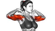 a woman showing her muscles with the help of an arm and shoulder muscle diagram in front of her