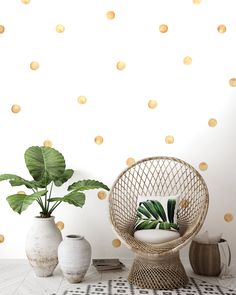 a room with some plants and vases on the floor in front of a white wall