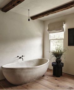 a bath tub sitting on top of a hard wood floor next to a potted plant