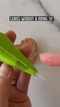 someone is holding a green leaf and pointing it at the tip of another plant that has leaves without a piping tip