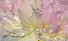 a close up view of a flower with water droplets on it