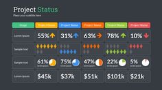 the project status chart is shown with different numbers and percentages on each side, including $