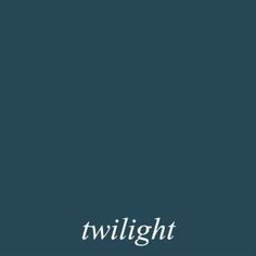 the cover of twilight, with an image of a bird flying in the sky