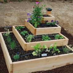 several wooden raised garden beds with plants growing in them and a windmill on the other side