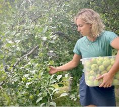 a woman holding a container full of apples in an apple tree filled with green apples