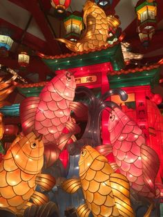 colorful lanterns in the shape of fish on display