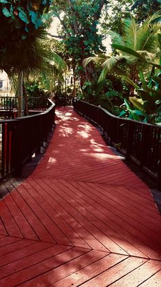 a red wooden walkway surrounded by trees and greenery on either side is a bench