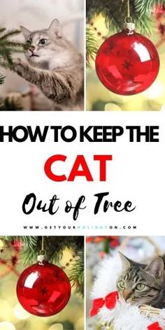 how to keep the cat out of christmas tree with pictures and text overlay that says, how to keep the cat out of christmas tree