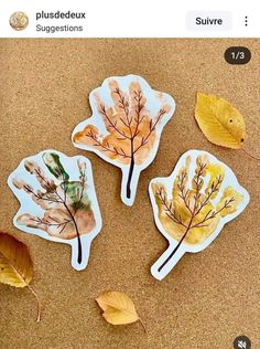 three leaf shaped magnets sitting on top of a table