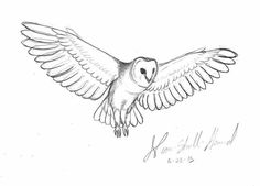 a drawing of an owl flying with its wings spread