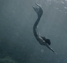 an image of a mermaid swimming in the water with her long tail sticking out from under the water