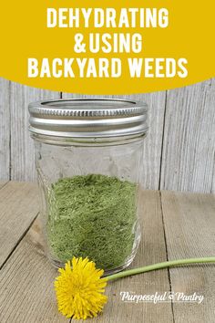 a mason jar filled with green and yellow powder next to a dandelion flower