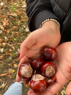 a person holding some chestnuts in their hands