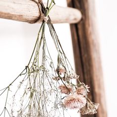 dried flowers hang from a wooden ladder