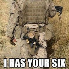 Vojenský Humor, Wojskowy Humor, Military Jokes, Military Memes, Army Humor, Military Quotes, 밈 유머, Military Humor, Funny Animal Jokes