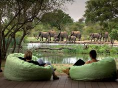 two people sitting on bean bags watching elephants